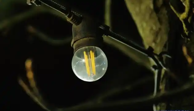 KHARKIV MORNING REPORT- Oct 18